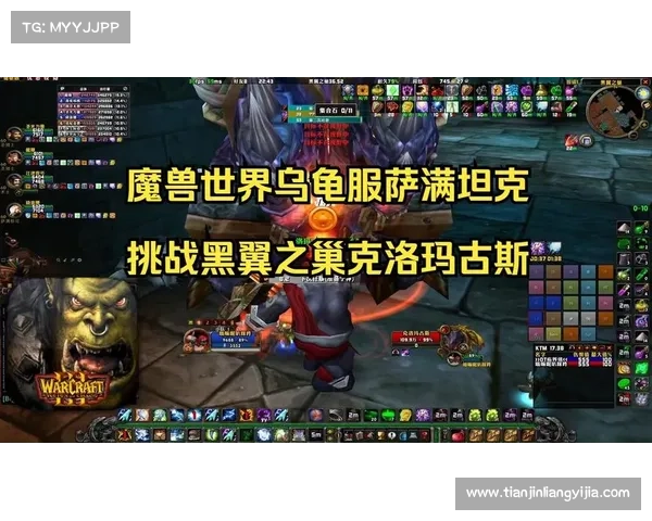 黑翼之巢挑战全解析 五大必备技巧与策略助你制胜 黑翼之巢挑战全解析 五大必备技巧与策略助你制胜