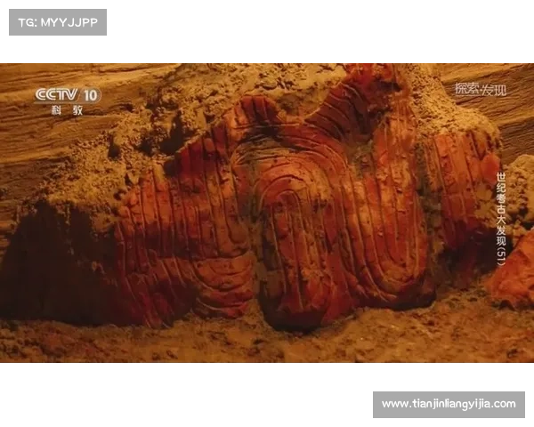 揭开古代遗址黄金甲之谜深层探索与考古发现的历史真相 揭开古代遗址黄金甲之谜深层探索与考古发现的历史真相